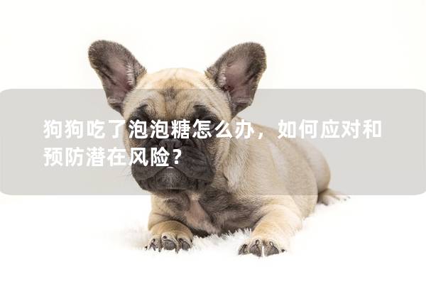 狗狗吃了泡泡糖怎么办，如何应对和预防潜在风险？