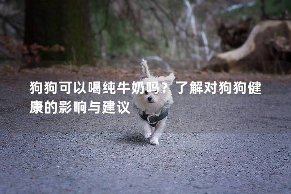 狗狗可以喝纯牛奶吗？了解对狗狗健康的影响与建议