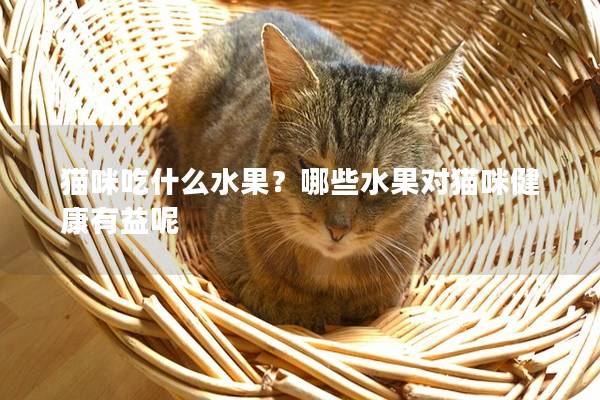 猫咪吃什么水果？哪些水果对猫咪健康有益呢