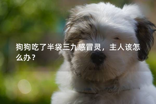 狗狗吃了半袋三九感冒灵，主人该怎么办？