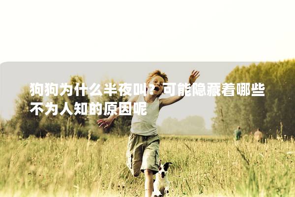 狗狗为什么半夜叫？可能隐藏着哪些不为人知的原因呢