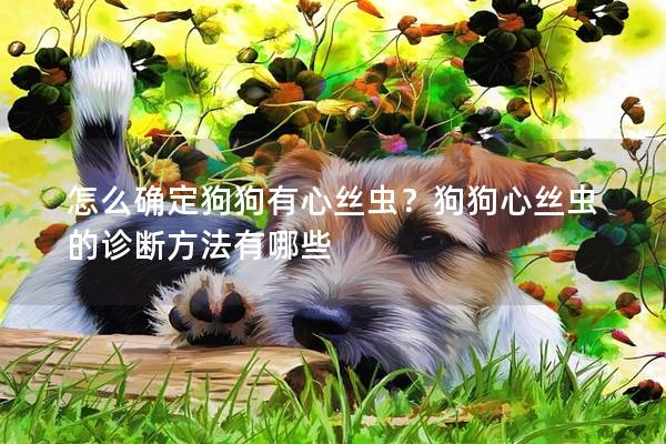 怎么确定狗狗有心丝虫？狗狗心丝虫的诊断方法有哪些