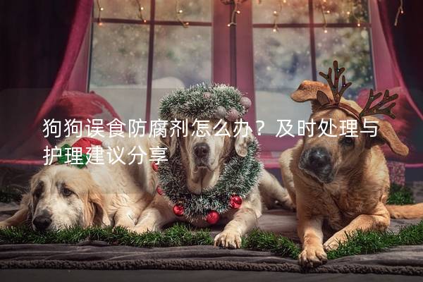 狗狗误食防腐剂怎么办？及时处理与护理建议分享
