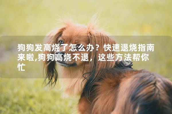 狗狗发高烧了怎么办？快速退烧指南来啦,狗狗高烧不退，这些方法帮你忙