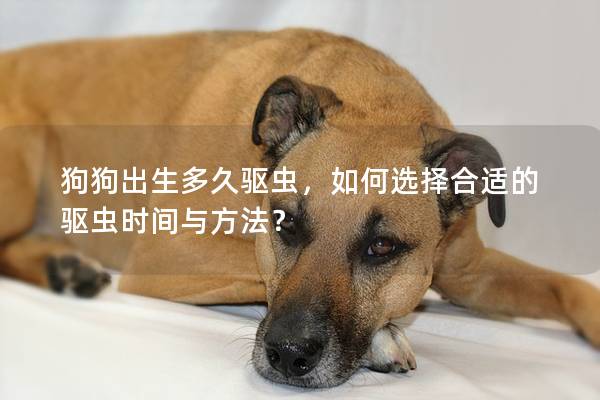 狗狗出生多久驱虫，如何选择合适的驱虫时间与方法？