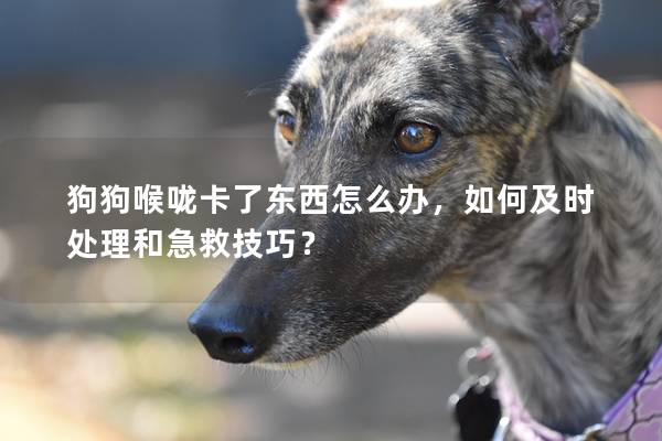 狗狗喉咙卡了东西怎么办，如何及时处理和急救技巧？