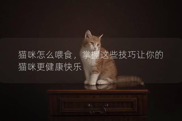 猫咪怎么喂食，掌握这些技巧让你的猫咪更健康快乐