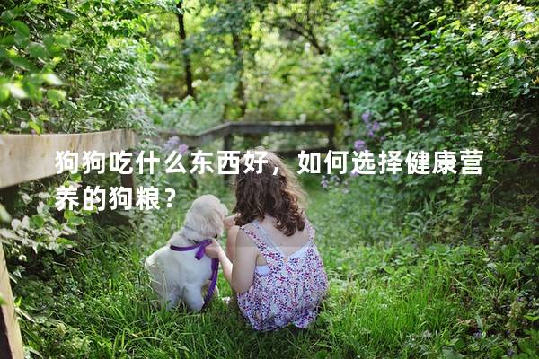 狗狗吃什么东西好，如何选择健康营养的狗粮？