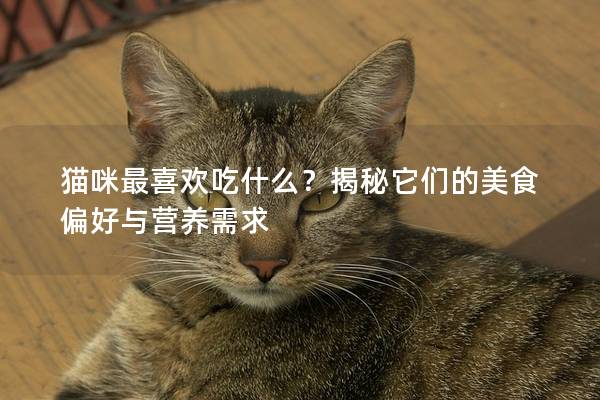 猫咪最喜欢吃什么？揭秘它们的美食偏好与营养需求