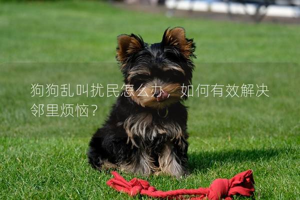 狗狗乱叫扰民怎么办，如何有效解决邻里烦恼？
