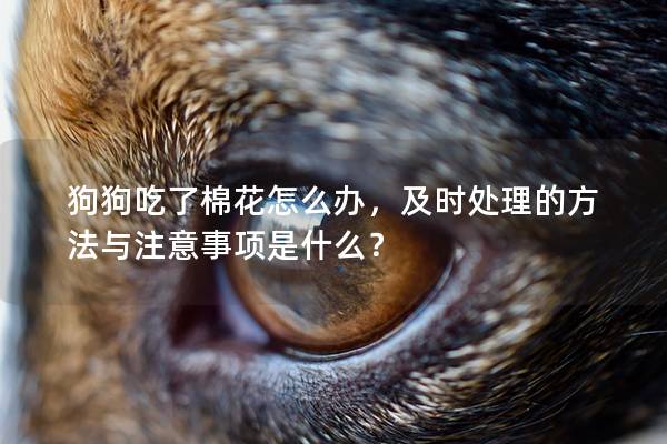 狗狗吃了棉花怎么办，及时处理的方法与注意事项是什么？