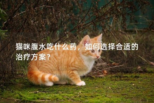 猫咪腹水吃什么药，如何选择合适的治疗方案？