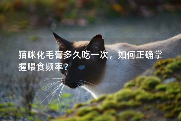 猫咪化毛膏多久吃一次，如何正确掌握喂食频率？
