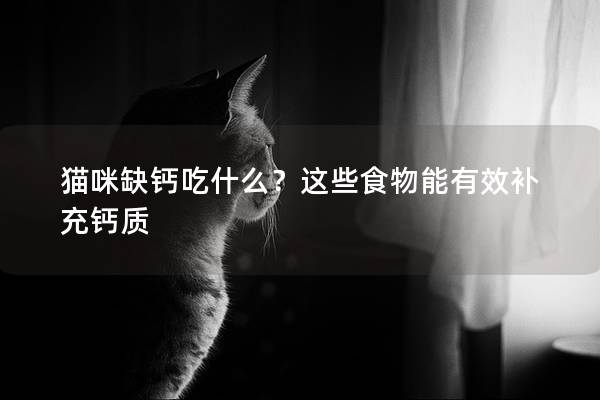 猫咪缺钙吃什么？这些食物能有效补充钙质