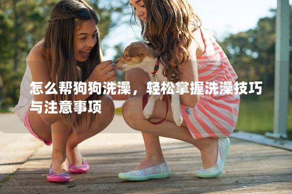 怎么帮狗狗洗澡，轻松掌握洗澡技巧与注意事项