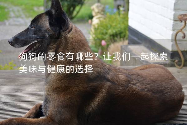 狗狗的零食有哪些？让我们一起探索美味与健康的选择