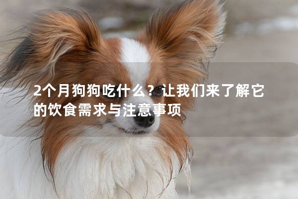 2个月狗狗吃什么？让我们来了解它的饮食需求与注意事项