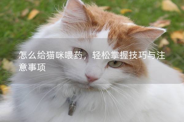 怎么给猫咪喂药，轻松掌握技巧与注意事项
