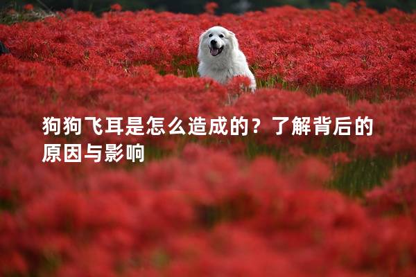 狗狗飞耳是怎么造成的？了解背后的原因与影响