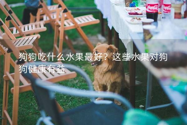 狗狗吃什么水果最好？这些水果对狗狗健康有益