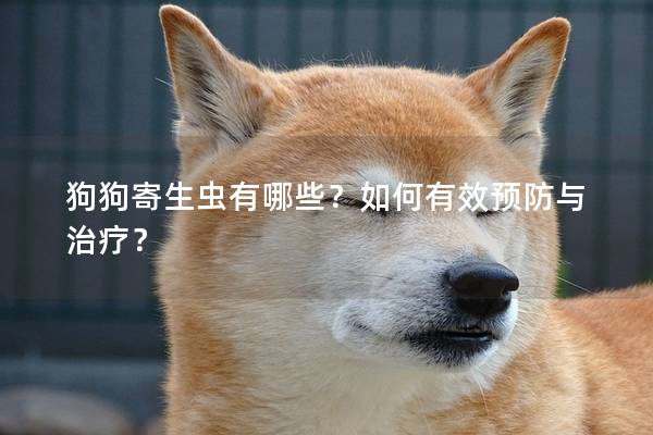 狗狗寄生虫有哪些？如何有效预防与治疗？
