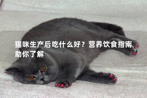 猫咪生产后吃什么好？营养饮食指南助你了解