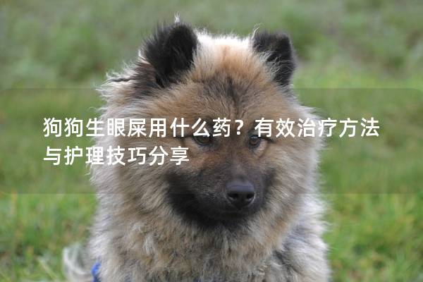狗狗生眼屎用什么药？有效治疗方法与护理技巧分享