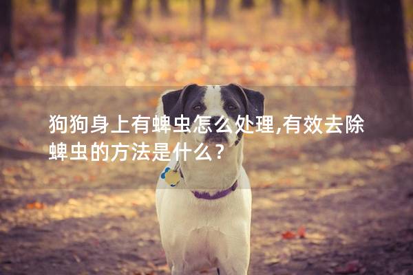 狗狗身上有蜱虫怎么处理,有效去除蜱虫的方法是什么？