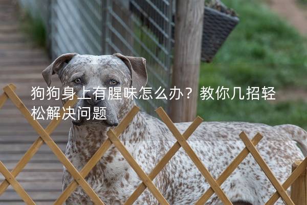 狗狗身上有腥味怎么办？教你几招轻松解决问题