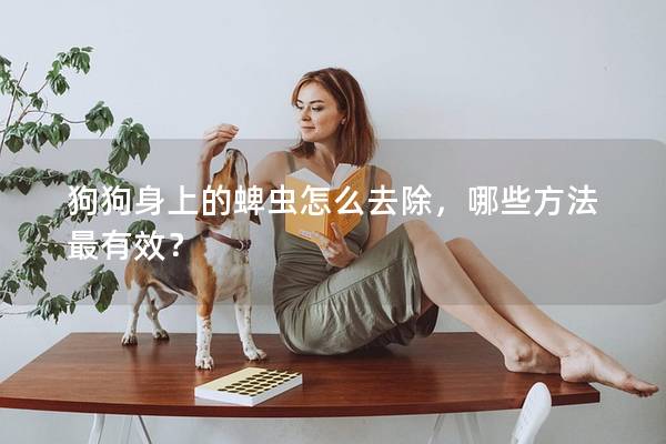 狗狗身上的蜱虫怎么去除，哪些方法最有效？