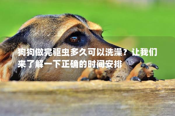 狗狗做完驱虫多久可以洗澡？让我们来了解一下正确的时间安排