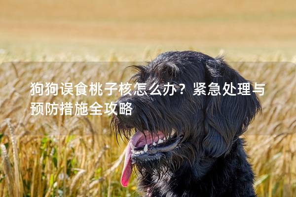 狗狗误食桃子核怎么办？紧急处理与预防措施全攻略