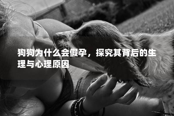 狗狗为什么会假孕，探究其背后的生理与心理原因