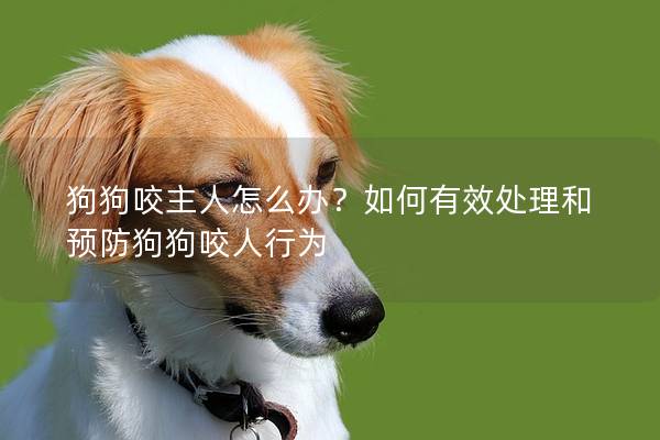 狗狗咬主人怎么办？如何有效处理和预防狗狗咬人行为