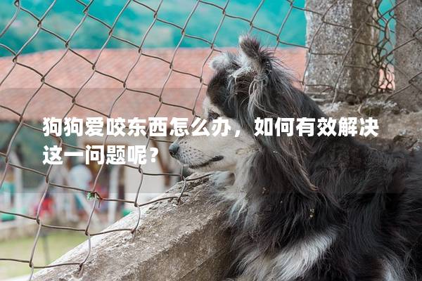 狗狗爱咬东西怎么办，如何有效解决这一问题呢？