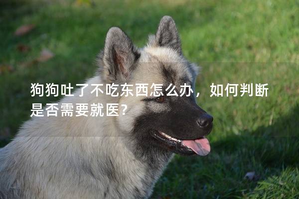 狗狗吐了不吃东西怎么办，如何判断是否需要就医？