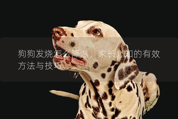 狗狗发烧怎么降温，家长必知的有效方法与技巧