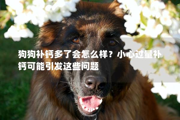 狗狗补钙多了会怎么样？小心过量补钙可能引发这些问题