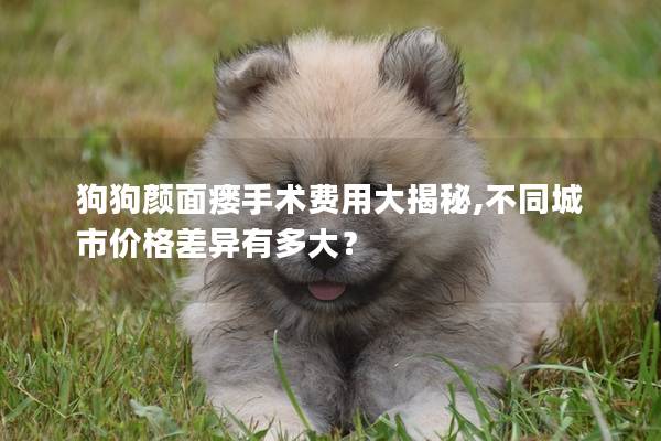 狗狗颜面瘘手术费用大揭秘,不同城市价格差异有多大？