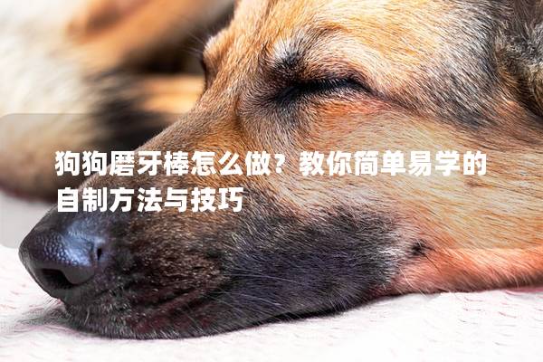 狗狗磨牙棒怎么做？教你简单易学的自制方法与技巧