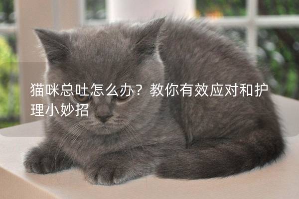 猫咪总吐怎么办？教你有效应对和护理小妙招