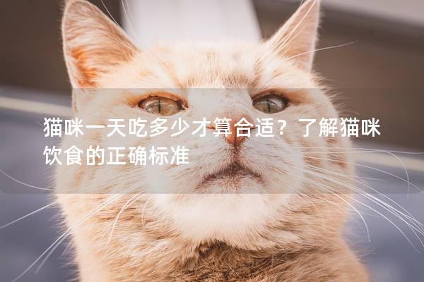 猫咪一天吃多少才算合适？了解猫咪饮食的正确标准