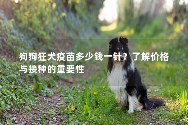 狗狗狂犬疫苗多少钱一针？了解价格与接种的重要性