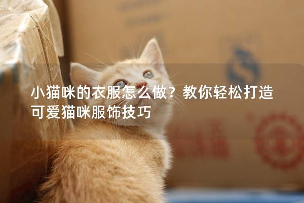 小猫咪的衣服怎么做？教你轻松打造可爱猫咪服饰技巧