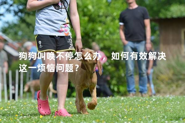 狗狗叫唤不停怎么办，如何有效解决这一烦恼问题？