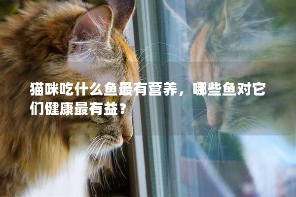 猫咪吃什么鱼最有营养，哪些鱼对它们健康最有益？