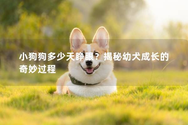 小狗狗多少天睁眼？揭秘幼犬成长的奇妙过程