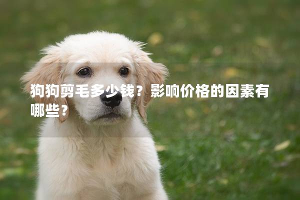 狗狗剪毛多少钱？影响价格的因素有哪些？