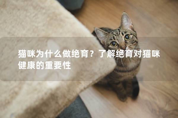 猫咪为什么做绝育？了解绝育对猫咪健康的重要性