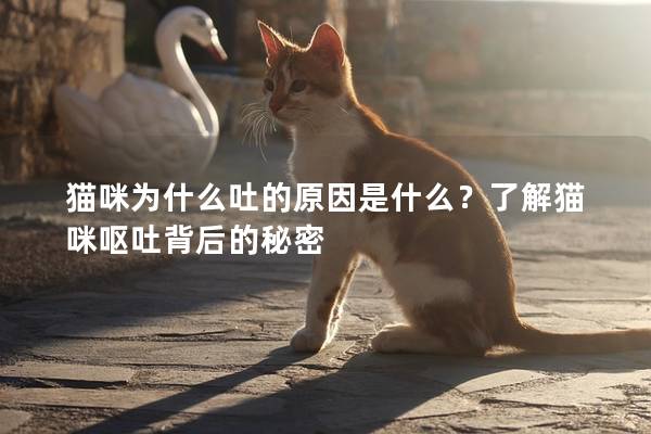 猫咪为什么吐的原因是什么？了解猫咪呕吐背后的秘密
